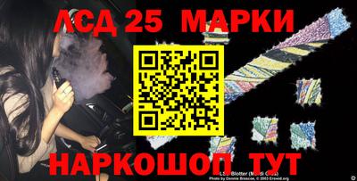 мяу мяу мука Малоярославец